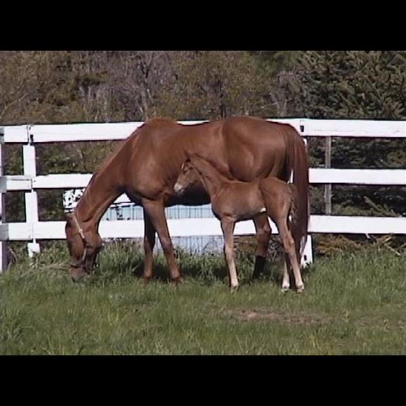 Meet your Posher, Gail - Picture 12 of 14